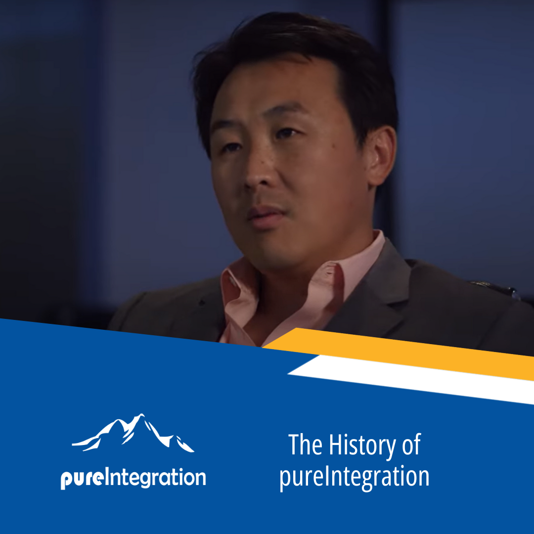 The History of pureIntegration
